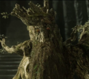 ent